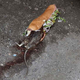 Image for article titled Looking Back On 30 Decades Of Hard-Hitting Sandwich Journalism